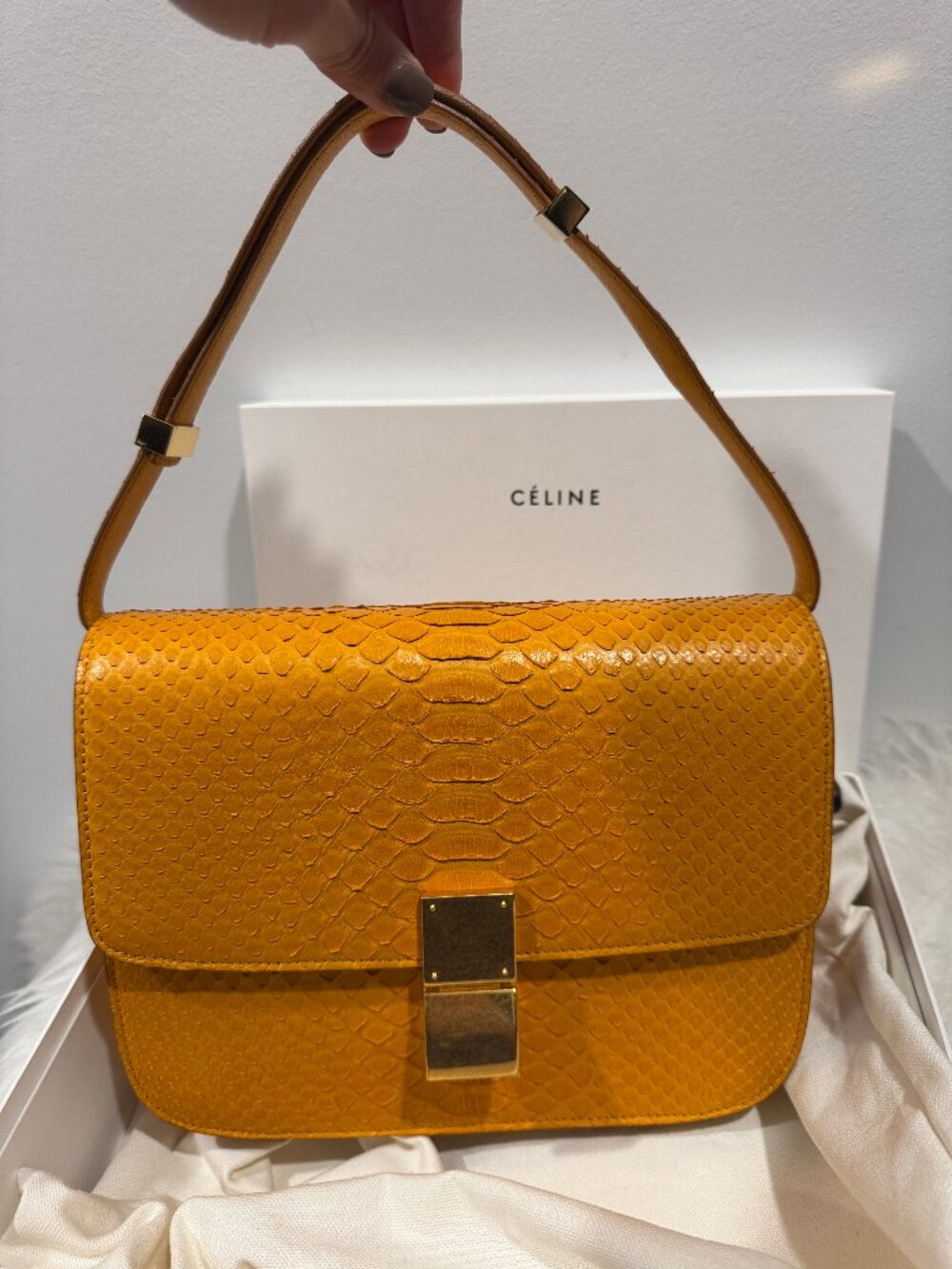 Celine Python Box - Medium - Picture 2 of 15